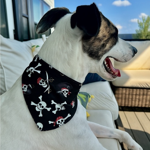 Handmade Black Skull and Crossbones Dog Bandana - Picture 1 of 4
